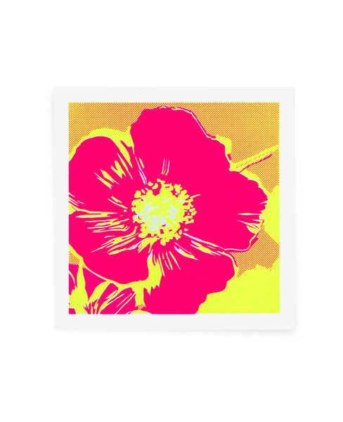 Full Bloom (Pink and Yellow) by Ben Allen
