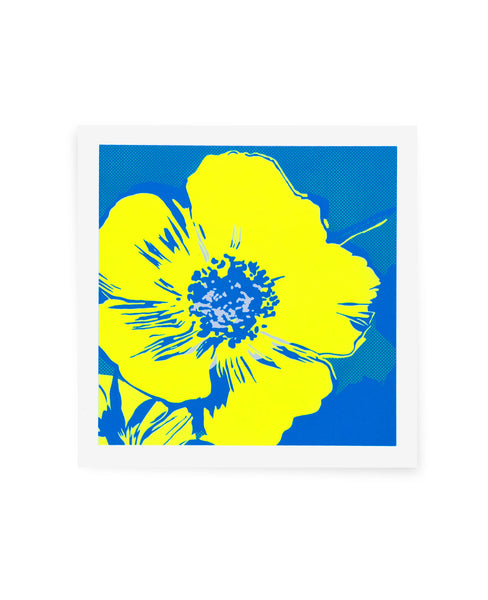 Full Bloom (Yellow and Blue) by Ben Allen