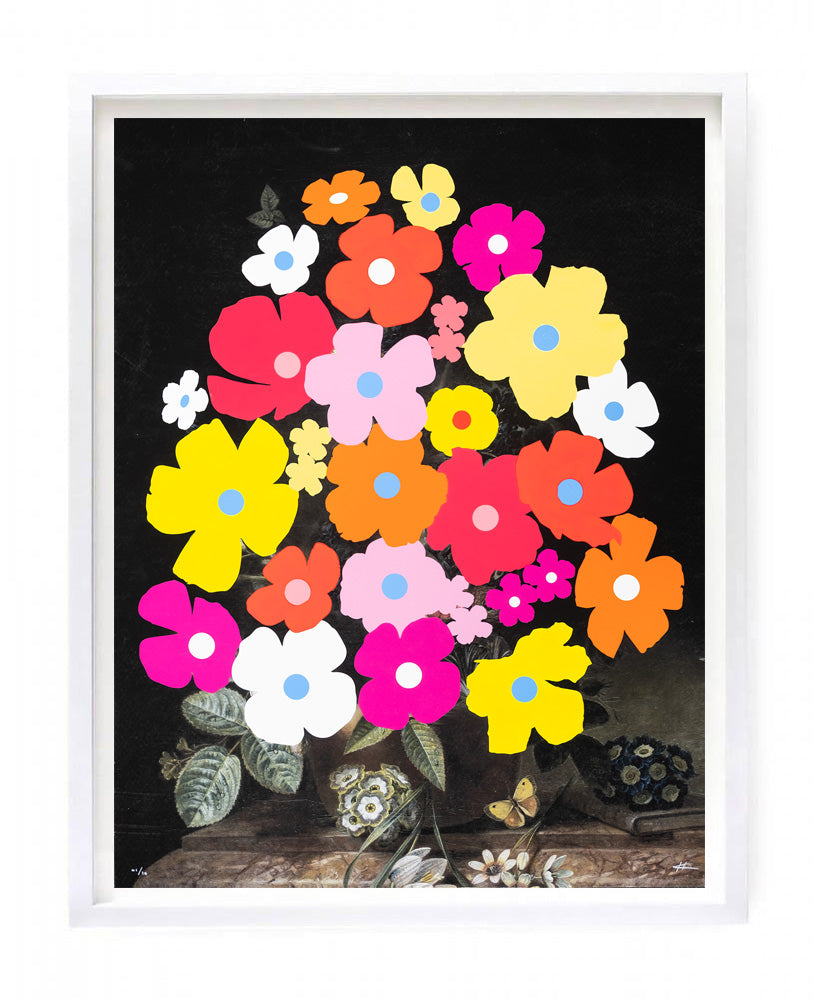 Wallflowers - Daisy