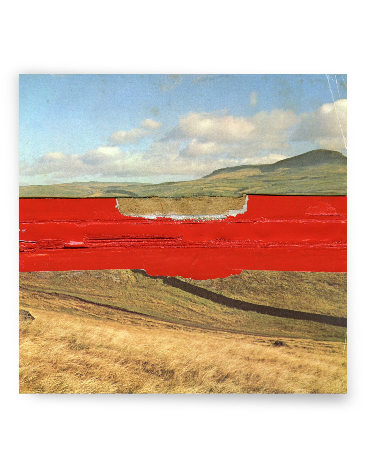 Rider by Michelle Thompson